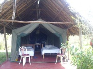masai mara wildebeest camp, our camp